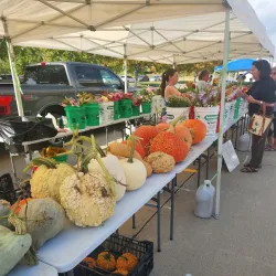 Sioux City Farmers Market - Sioux City