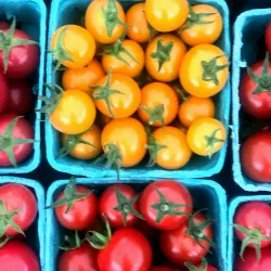 Sioux City Farmers Market - Sioux City