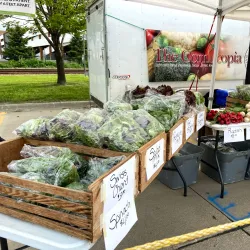 Sioux City Farmers Market - Sioux City
