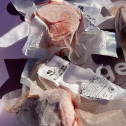 Sioux City Farmers Market - Sioux City