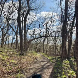 Stone State Park - Sioux City