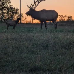 Jester Park - Urbandale