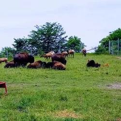 Jester Park - Urbandale