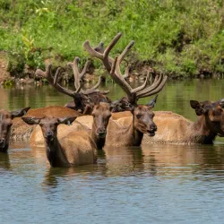 Jester Park - Urbandale