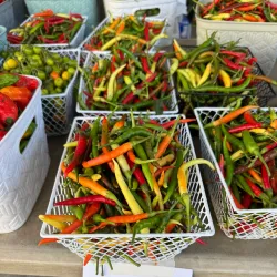 Urbandale Farmers Market - Urbandale
