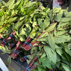 Urbandale Farmers Market - Urbandale