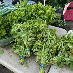 Urbandale Farmers Market - Urbandale