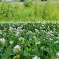 Valley View Park - Urbandale