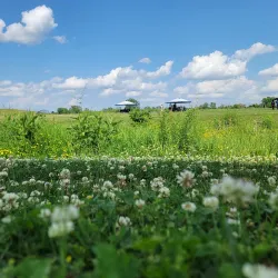 Valley View Park - Urbandale