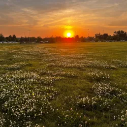 Valley View Park - Urbandale