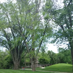 Walker Johnston Park - Urbandale