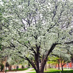 Wartburg College - Waverly
