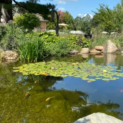 Waverly Public Library - Waverly