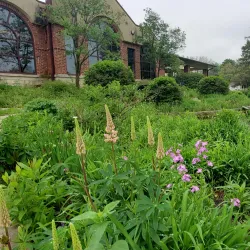 Waverly Public Library - Waverly