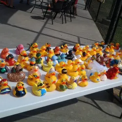 Chanute Aquatic Center - Chanute