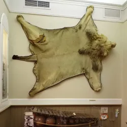 Chanute Historical Museum - Chanute