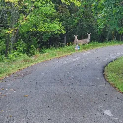 Martin Park - Chanute