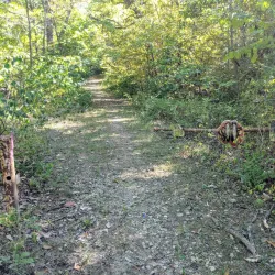 Martin Park - Chanute