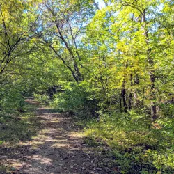 Martin Park - Chanute