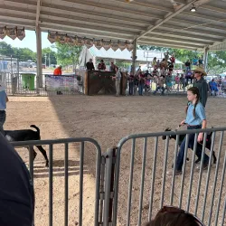 Neosho County Fairgrounds - Chanute