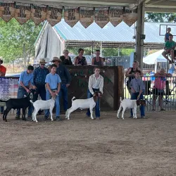 Neosho County Fairgrounds - Chanute