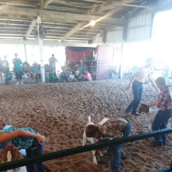Neosho County Fairgrounds - Chanute