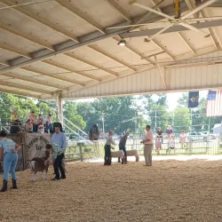 Neosho County Fairgrounds - Chanute