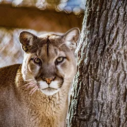 David Traylor Zoo of Emporia - Emporia