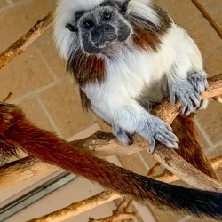 David Traylor Zoo of Emporia - Emporia