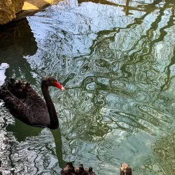 David Traylor Zoo of Emporia - Emporia