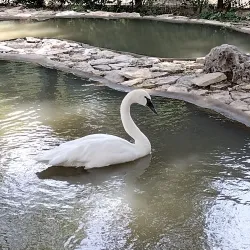 David Traylor Zoo of Emporia - Emporia