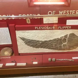 Emporia Historical Museum - Emporia