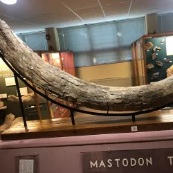 Emporia Historical Museum - Emporia