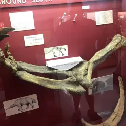 Emporia Historical Museum - Emporia