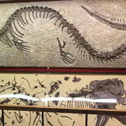 Emporia Historical Museum - Emporia