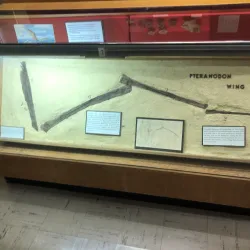 Emporia Historical Museum - Emporia