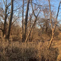 Neosho River Trail - Emporia