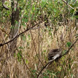 Neosho River Trail - Emporia