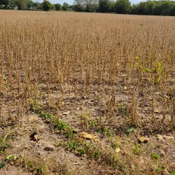Neosho River Trail - Emporia