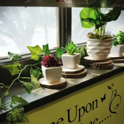 Fort Scott Public Library - Fort Scott