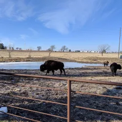 Fort Hays State University - Hays