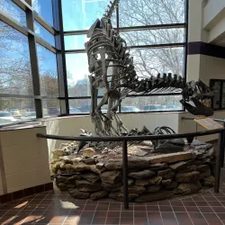 Fort Hays State University - Hays