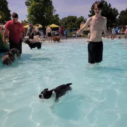 Hays Aquatic Park - Hays