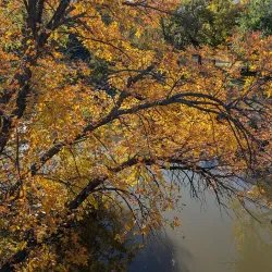 Hays City Park - Hays