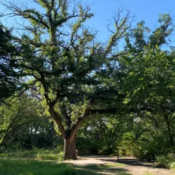 Hays City Park - Hays