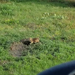 Prairie Dog Creek Trail - Hays