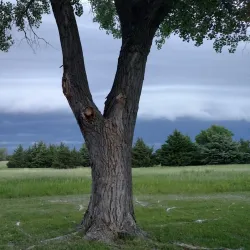 Prairie Dog Creek Trail - Hays