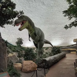 Sternberg Museum of Natural History - Hays