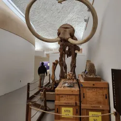 Sternberg Museum of Natural History - Hays