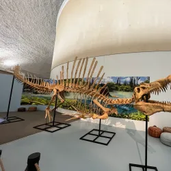 Sternberg Museum of Natural History - Hays